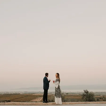 Villa Oliveus Euphoria *