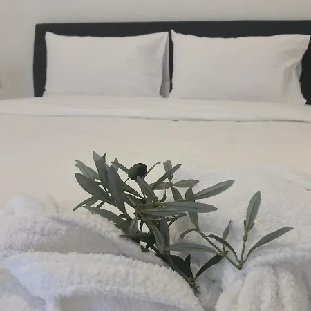 Oliveus Euphoria Assos (Corinthia)