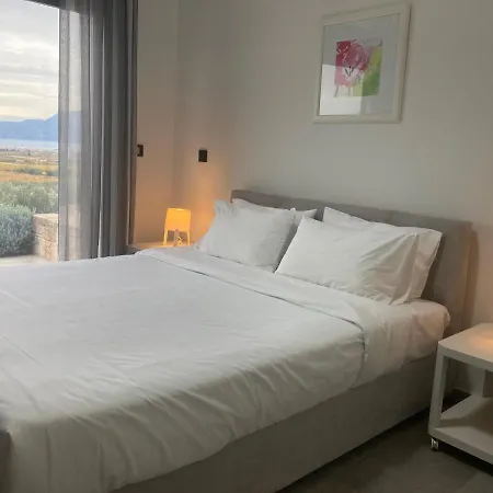 Oliveus Euphoria Villa