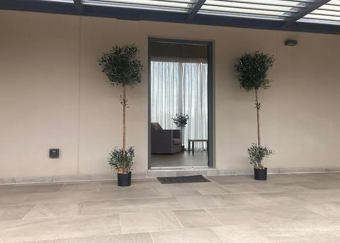 Oliveus Euphoria Ássos